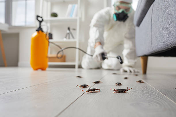 Commercial Kitchen Cockroach Control in Howard